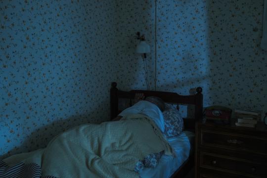 The 95,000-Person Sleep Study: REM Sleep Shields Against 83 Diseases