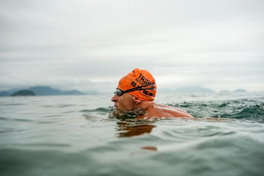 Swimming Sea Cucumber Reroutes Ocean Carbon Midwater