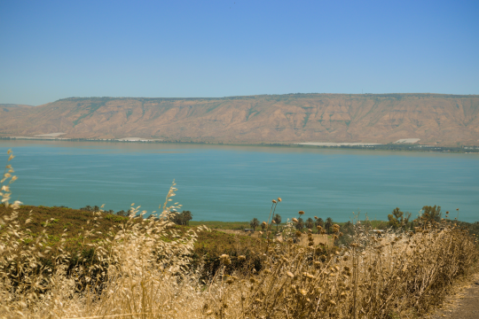 Galilee Cluster Munition Blast Kills Boy on School Hike