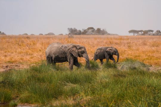 US Eases Tanzania Travel Warning After a Year of High Caution