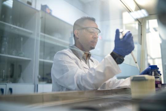 Maternal Vaccination Shields Newborn Mice From Deadly Superbug