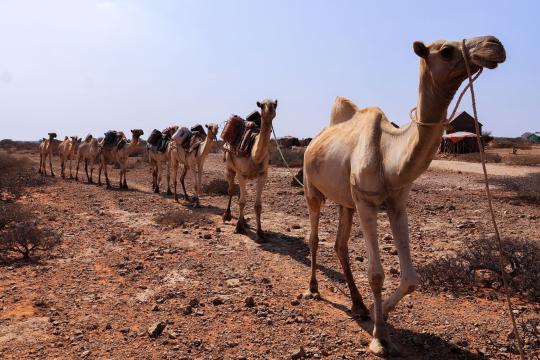 Foreign Powers Are Fueling Sudan's War, UN Warns