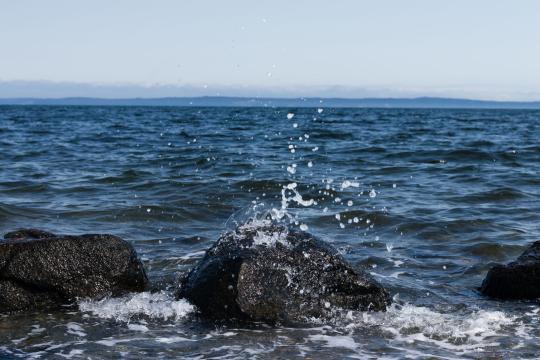 Canada Ocean Investment: Carney's $1.2B Coastal Bet