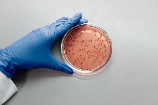 Treating Partners Could Finally Cure Bacterial Vaginosis
