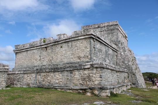 Ancient Maya Beekeeping Site Unearthed Along Maya Train Route