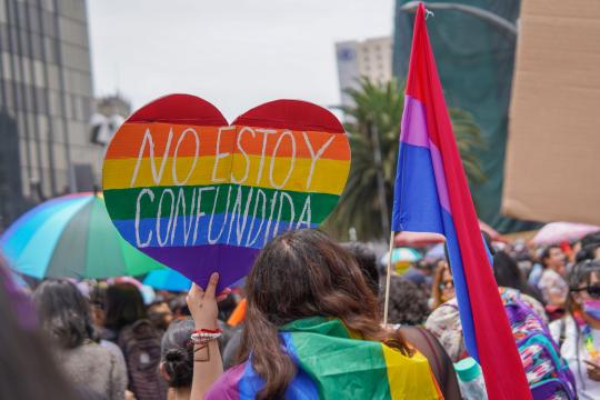 Queer Gen Z Voters Pick Values Over Identity, Study Finds