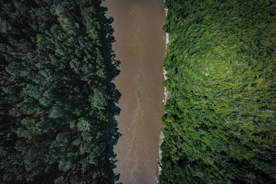 Amazon Deforestation Record Low Lands Before Brazil Vote