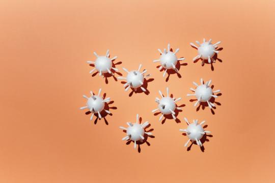 How Virus Assembly Works: Scientists Watch a Virus Build Itself
