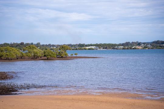 Calm-Water Windows Could Save Mangrove Forests