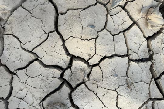 Climate Fingerprints Show Human Cause of Warming