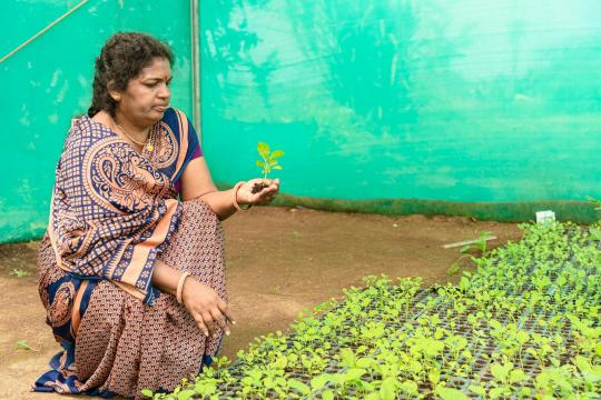 Starting a Farm From Scratch: What New Growers Need First