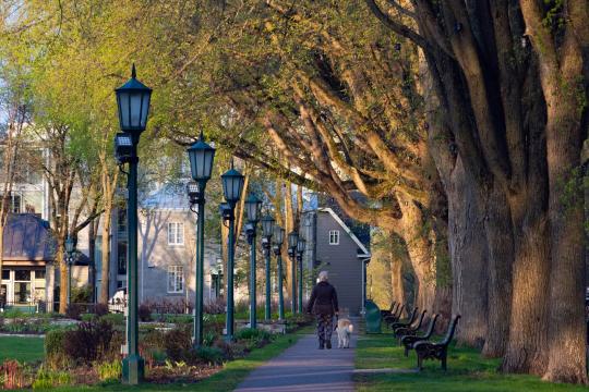Silent Walking Is Back: Gen Z's Quiet Stroll Keeps Trending