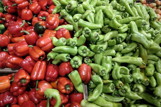 FDA Jalapeno Salmonella Recall Raised to Highest Risk Level