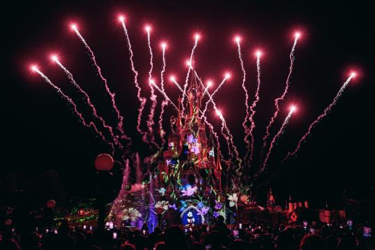 Yoatzi Castro Disneyland Stream: What Happened That Night