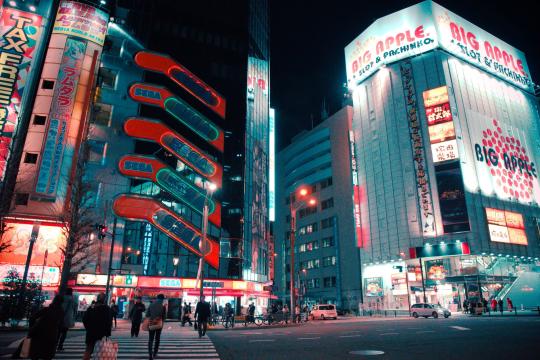 Japan Tourism Fees Rise as China Visitors Collapse