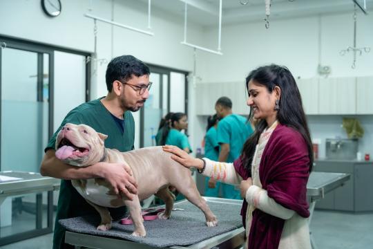 Pet Insurance Is Booming and Your Renewal Is the Catch