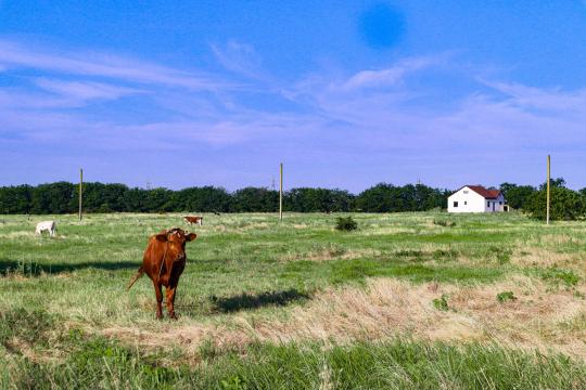 Argentina Foreign Land Ownership Rules Reopened by Court
