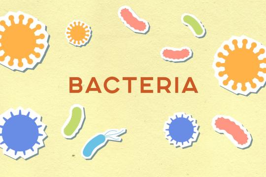 Bacteria's New Gene Writer Could One Day Fight Aging