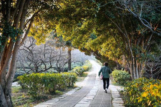 More Time Outside Could Help You Eat Like Your Body Wants