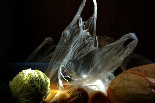 Single-Use Plastics Ban Heads to Canada's Supreme Court