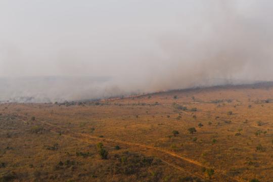 EU Plans Climate Insurance Alliance After Brutal Wildfire Summer