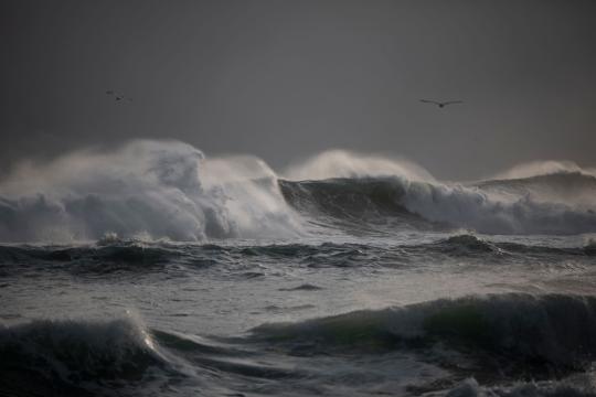 Hurricane Trudy Nears Mexico as Flood Threat Grows