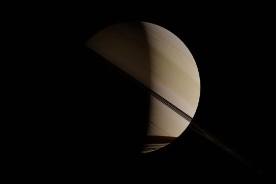 An Earth Microbe Survived a Simulated Enceladus Ocean
