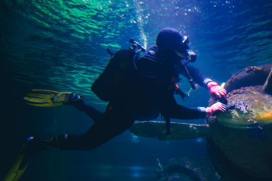 Seabed Stone Tools Reveal Australia's Drowned Ancient World
