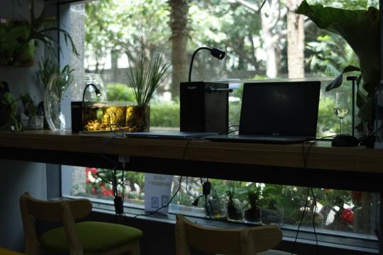 The North Korean Laptop Farm Scheme the FBI Dismantled in Texas