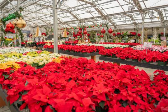 Holiday Seasonal Hiring May Hit Its Lowest Since 2008