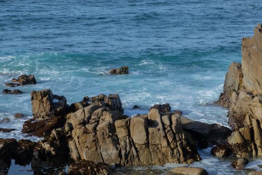 Kelvin Wave Lifts West Coast Seas as Super El Niño Builds