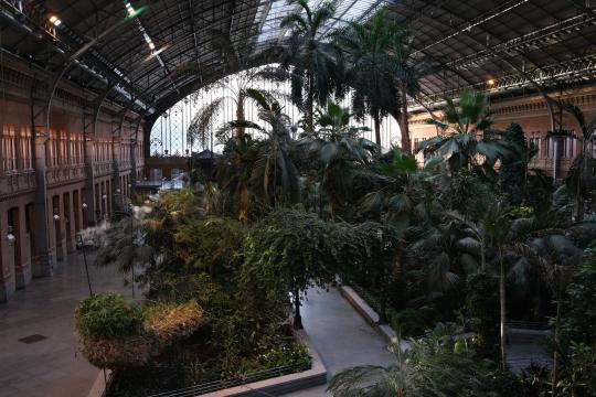 Edinburgh Palm Houses reopening after five-year restoration
