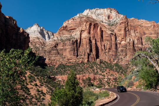 Law Roach Odessa A'zion feud: What Really Happened