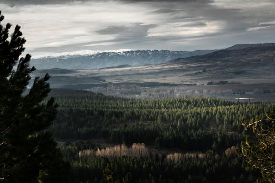 Cairngorms Woodland Expansion: Six Million Trees Mapped