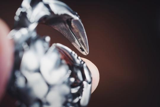 Oracle Fusion Claw Brings Governed AI Execution to Enterprise Apps