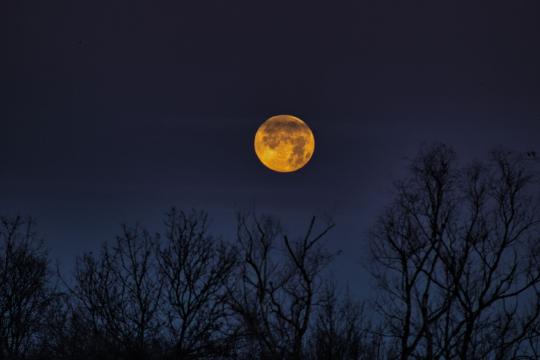 October Full Moon in Taurus: Your Hunter's Moon Guide