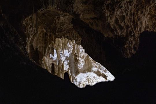 Shanidar Neanderthal Spear Wound Hints at Oldest Known Killing