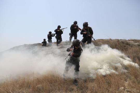 Operation Vivaldi: Ukraine Reclaims 176 km² in Donetsk