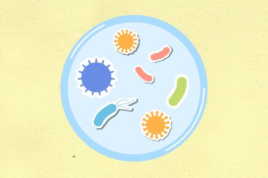 GenBio AI Virtual Cell Lets Scientists Test Drugs in Silico