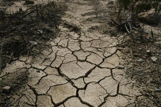 Climate Anxiety is Real - Here is How to Deal Without Doom Scrolling