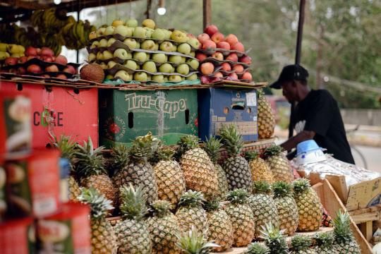 Nigeria's Food Agency Disowns a Viral Fake Products List