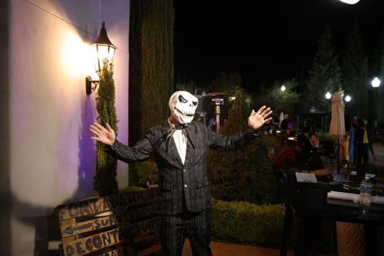 Halloween Astrology 2026: A Sign-by-Sign Guide to the Night