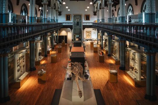 AI Just Mapped the DNA of the Dodo Comeback