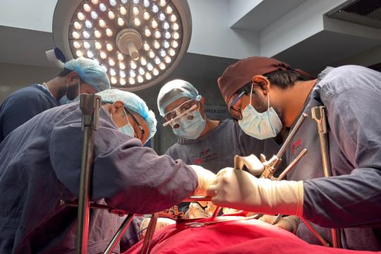 The Frozen Kidney That Could Make Organ Banking Real
