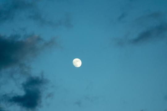 NASA Artemis Moon Rocket Cleared for April Launch