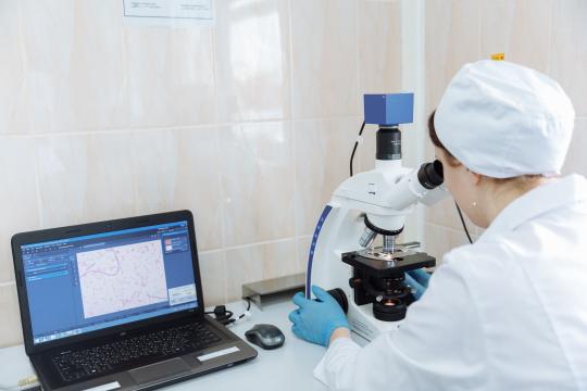 A Switch That Keeps Cancer-Fighting Immune Cells From Burning Out