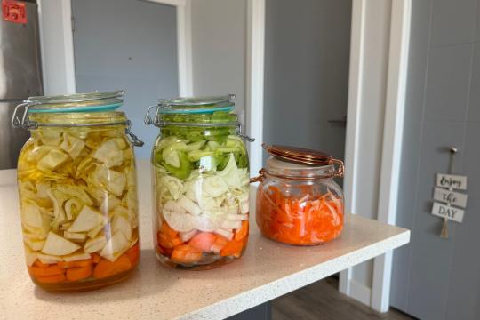 Hot Girl Pickles: Gen Zers Turned TikToks Into an $8.5M Brand