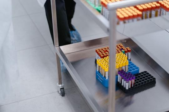 CRISPR Cholesterol Therapy Cuts Bad Fat in Half for a Year