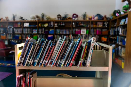 Tennessee Librarian Fired for Refusing to Remove LGBTQ Books