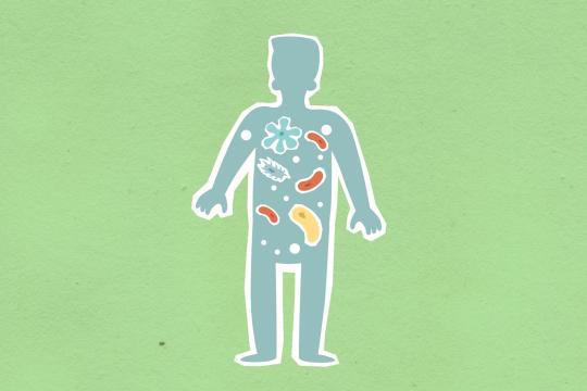 Your Gut Bacteria Could Warn of Diabetes Before Blood Tests Do